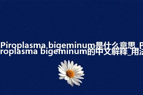 Piroplasma bigeminum是什么意思_Piroplasma bigeminum的中文解释_用法