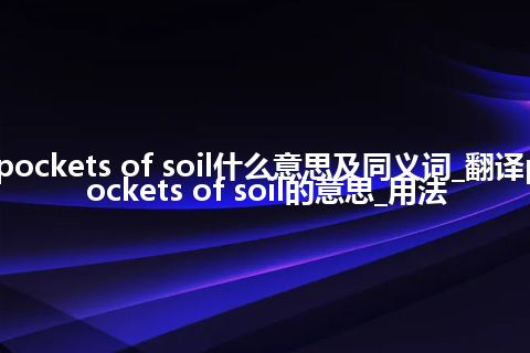 pockets of soil什么意思及同义词_翻译pockets of soil的意思_用法