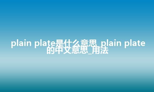 plain plate是什么意思_plain plate的中文意思_用法