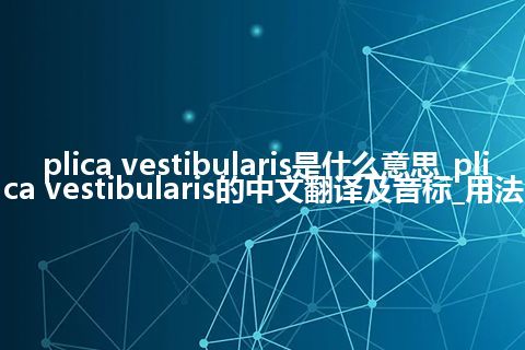 plica vestibularis是什么意思_plica vestibularis的中文翻译及音标_用法
