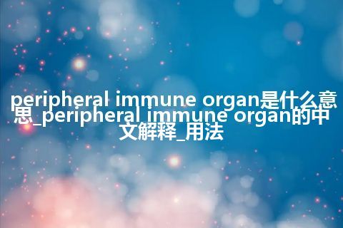 peripheral immune organ是什么意思_peripheral immune organ的中文解释_用法
