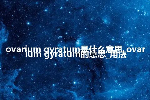 ovarium gyratum是什么意思_ovarium gyratum的意思_用法