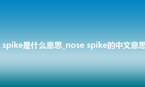 nose spike是什么意思_nose spike的中文意思_用法