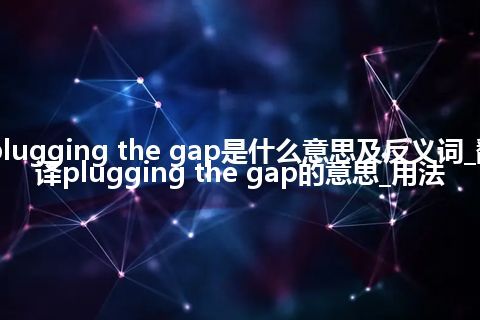 plugging the gap是什么意思及反义词_翻译plugging the gap的意思_用法