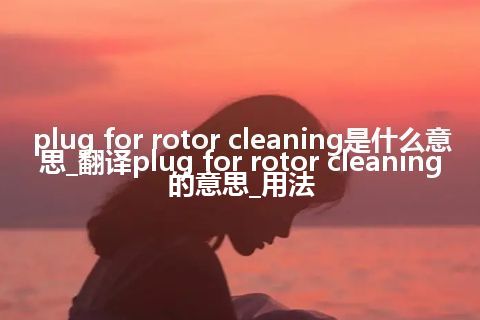 plug for rotor cleaning是什么意思_翻译plug for rotor cleaning的意思_用法