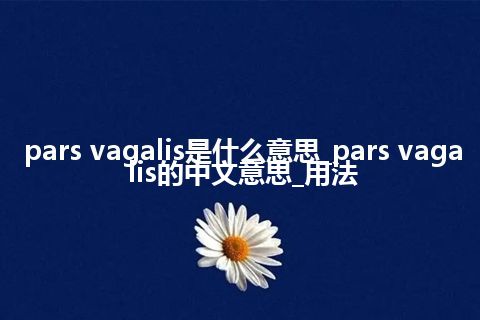 pars vagalis是什么意思_pars vagalis的中文意思_用法
