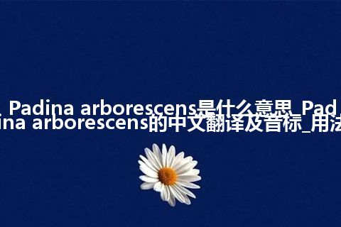 Padina arborescens是什么意思_Padina arborescens的中文翻译及音标_用法