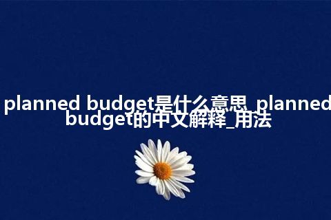 planned budget是什么意思_planned budget的中文解释_用法