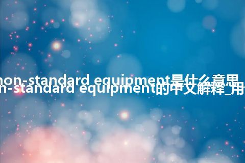 non-standard equipment是什么意思_non-standard equipment的中文解释_用法