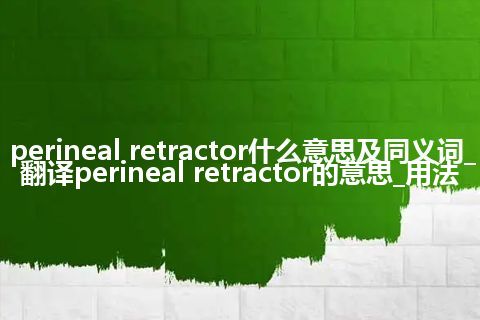perineal retractor什么意思及同义词_翻译perineal retractor的意思_用法