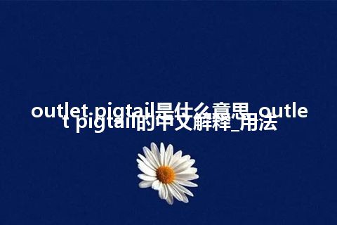outlet pigtail是什么意思_outlet pigtail的中文解释_用法