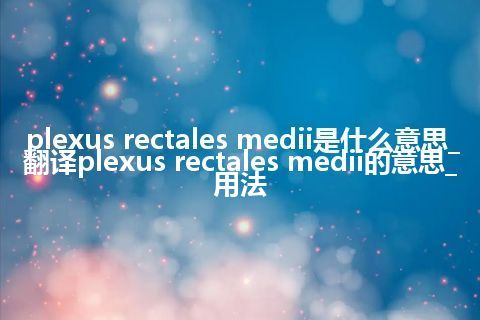 plexus rectales medii是什么意思_翻译plexus rectales medii的意思_用法