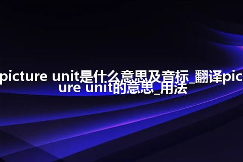 picture unit是什么意思及音标_翻译picture unit的意思_用法