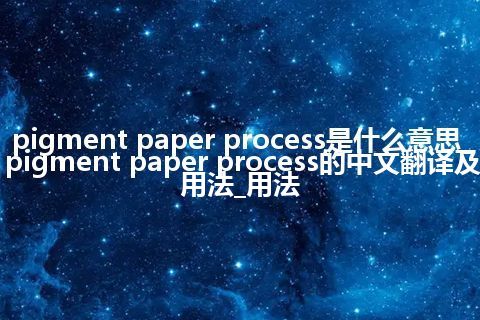pigment paper process是什么意思_pigment paper process的中文翻译及用法_用法