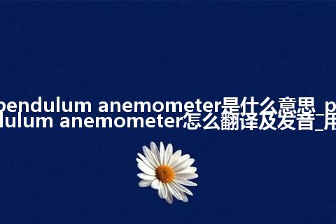 pendulum anemometer是什么意思_pendulum anemometer怎么翻译及发音_用法