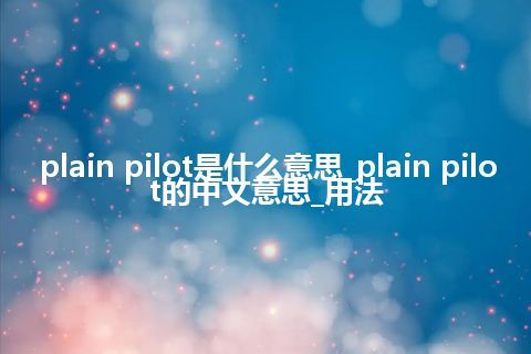 plain pilot是什么意思_plain pilot的中文意思_用法