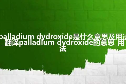 palladium dydroxide是什么意思及用法_翻译palladium dydroxide的意思_用法