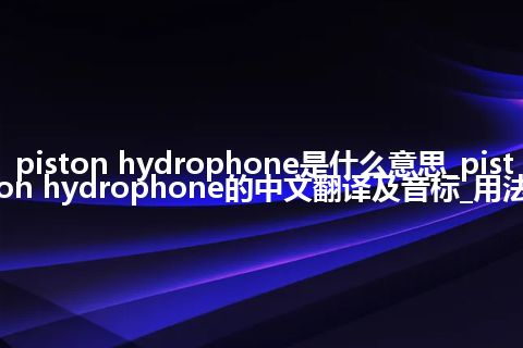 piston hydrophone是什么意思_piston hydrophone的中文翻译及音标_用法