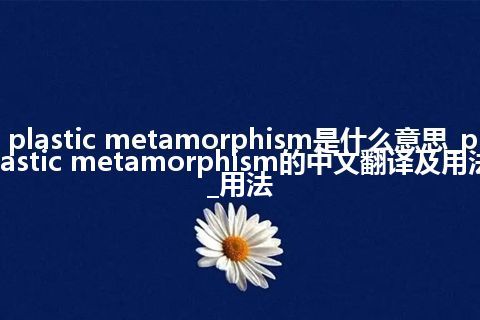 plastic metamorphism是什么意思_plastic metamorphism的中文翻译及用法_用法