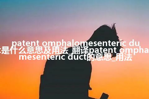 patent omphalomesenteric duct是什么意思及用法_翻译patent omphalomesenteric duct的意思_用法