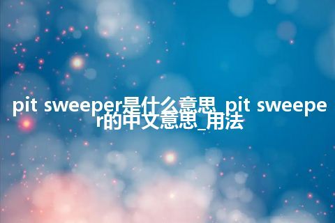 pit sweeper是什么意思_pit sweeper的中文意思_用法