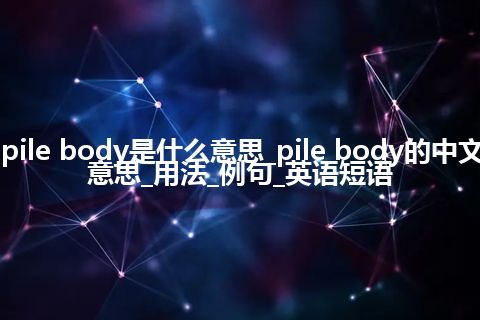 pile body是什么意思_pile body的中文意思_用法_例句_英语短语