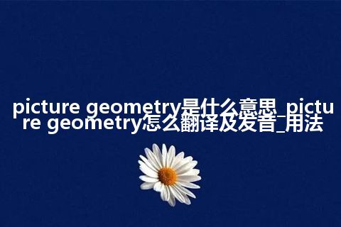 picture geometry是什么意思_picture geometry怎么翻译及发音_用法