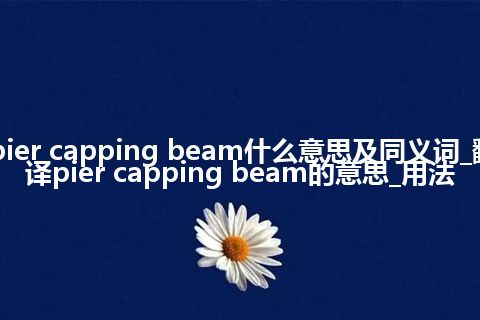 pier capping beam什么意思及同义词_翻译pier capping beam的意思_用法