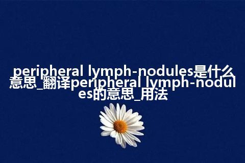 peripheral lymph-nodules是什么意思_翻译peripheral lymph-nodules的意思_用法