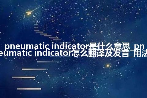 pneumatic indicator是什么意思_pneumatic indicator怎么翻译及发音_用法