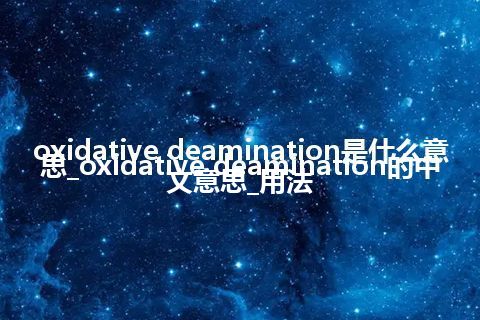 oxidative deamination是什么意思_oxidative deamination的中文意思_用法