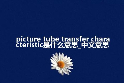 picture tube transfer characteristic是什么意思_中文意思