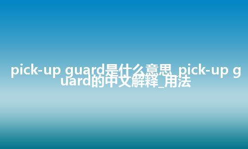 pick-up guard是什么意思_pick-up guard的中文解释_用法
