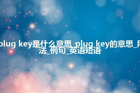 plug key是什么意思_plug key的意思_用法_例句_英语短语