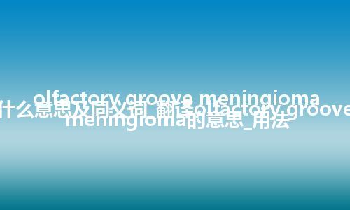 olfactory groove meningioma什么意思及同义词_翻译olfactory groove meningioma的意思_用法