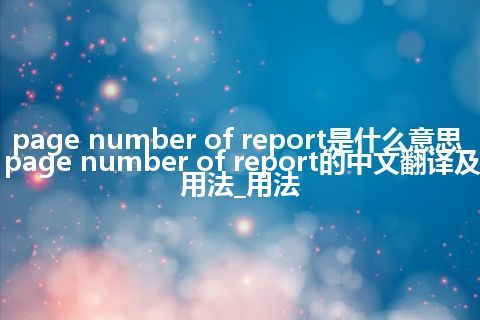 page number of report是什么意思_page number of report的中文翻译及用法_用法