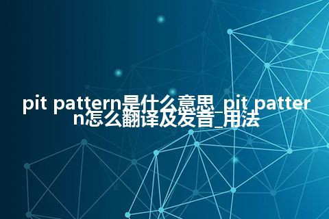 pit pattern是什么意思_pit pattern怎么翻译及发音_用法