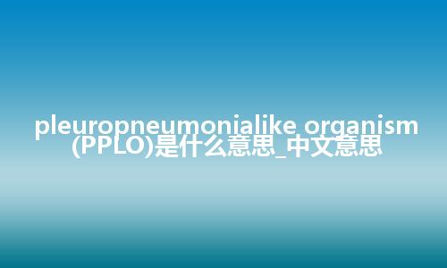 pleuropneumonialike organism (PPLO)是什么意思_中文意思