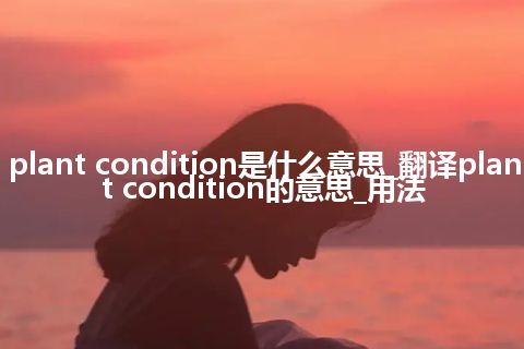 plant condition是什么意思_翻译plant condition的意思_用法