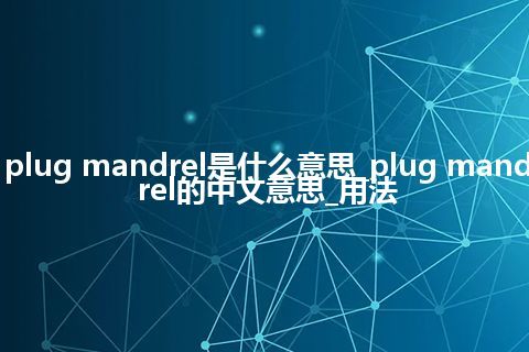 plug mandrel是什么意思_plug mandrel的中文意思_用法
