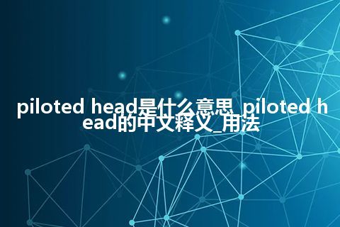 piloted head是什么意思_piloted head的中文释义_用法