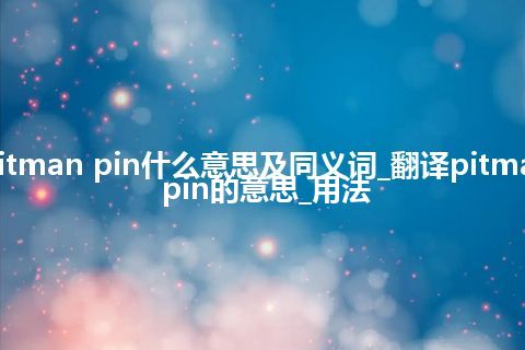 pitman pin什么意思及同义词_翻译pitman pin的意思_用法