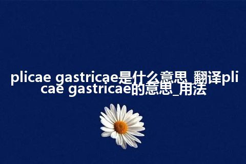 plicae gastricae是什么意思_翻译plicae gastricae的意思_用法