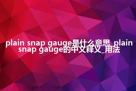 plain snap gauge是什么意思_plain snap gauge的中文释义_用法