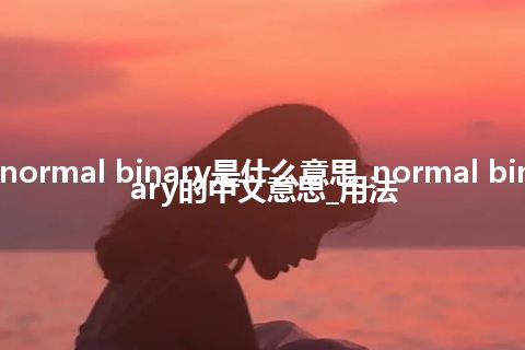 normal binary是什么意思_normal binary的中文意思_用法