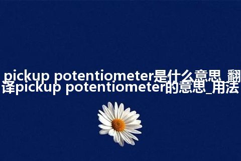 pickup potentiometer是什么意思_翻译pickup potentiometer的意思_用法