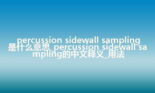 percussion sidewall sampling是什么意思_percussion sidewall sampling的中文释义_用法