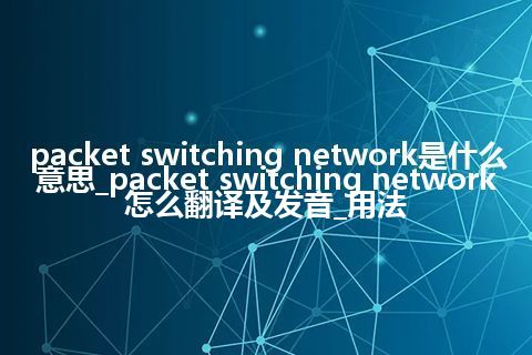 packet switching network是什么意思_packet switching network怎么翻译及发音_用法