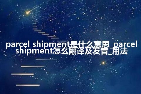 parcel shipment是什么意思_parcel shipment怎么翻译及发音_用法