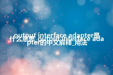 output interface adapter是什么意思_output interface adapter的中文解释_用法